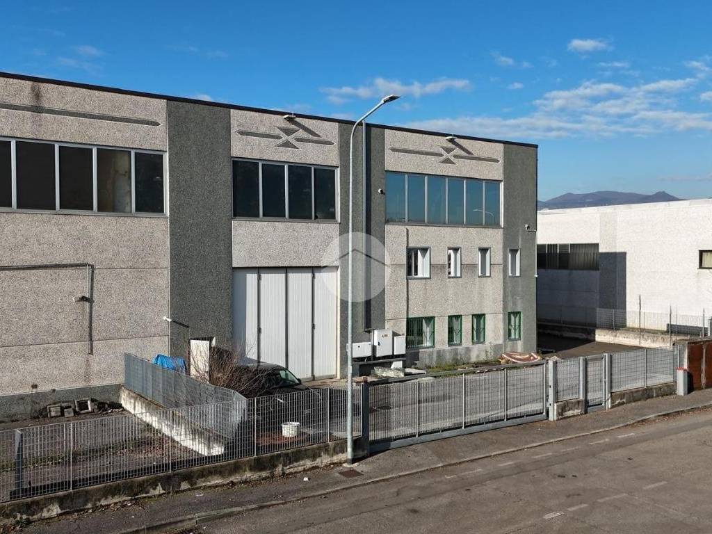 immagine di copertina