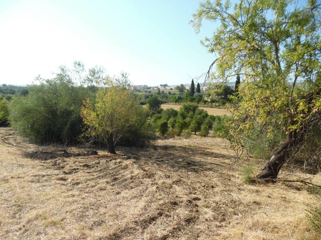 Terreno a Floridia - Foto 2