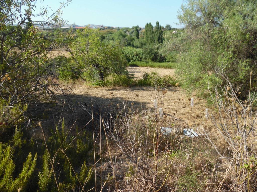 Terreno a Floridia - Foto 3