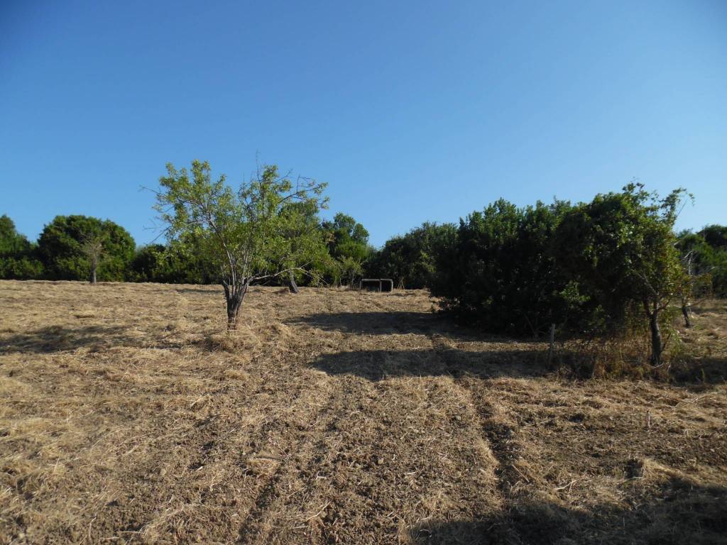 Terreno a Floridia - Foto 4
