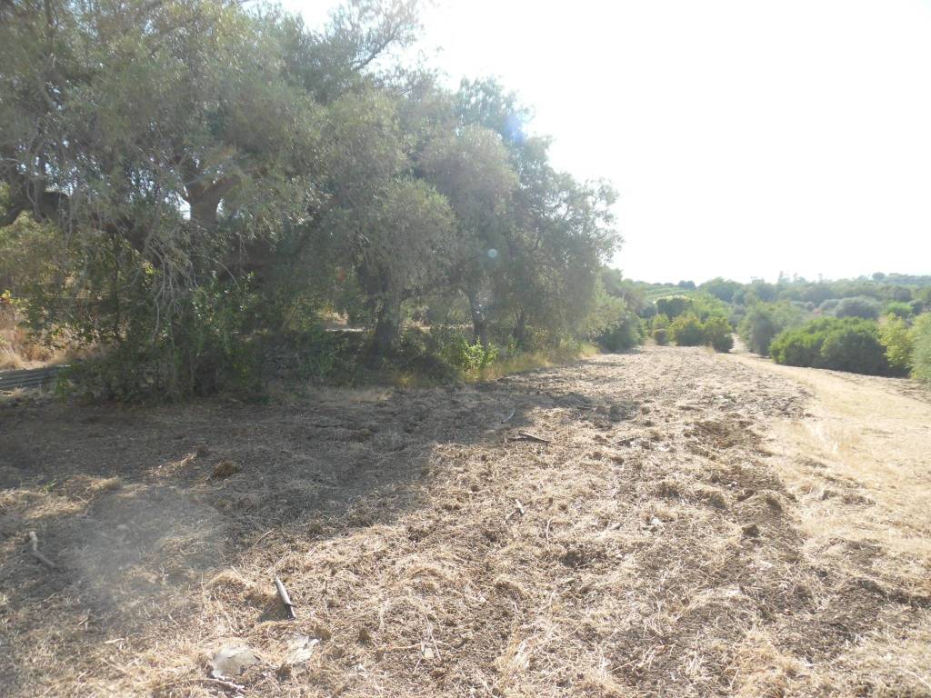 Terreno a Floridia - Foto 5
