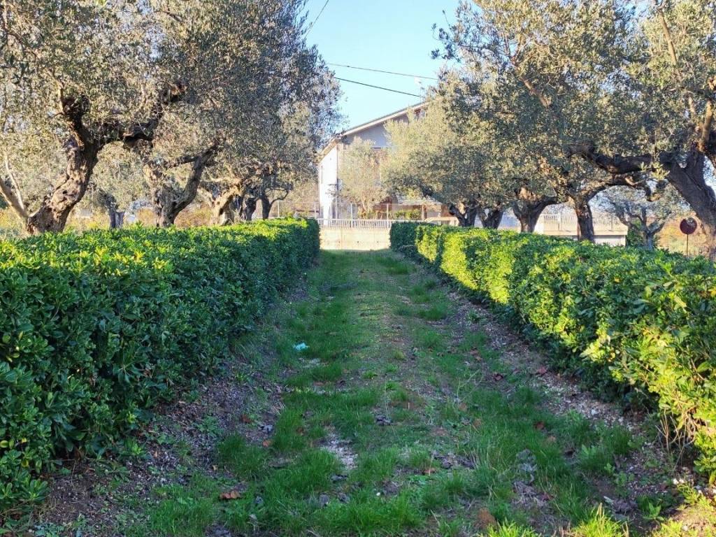 Rustico / casale a Giulianova in Via per Mosciano, 115 - Foto 3