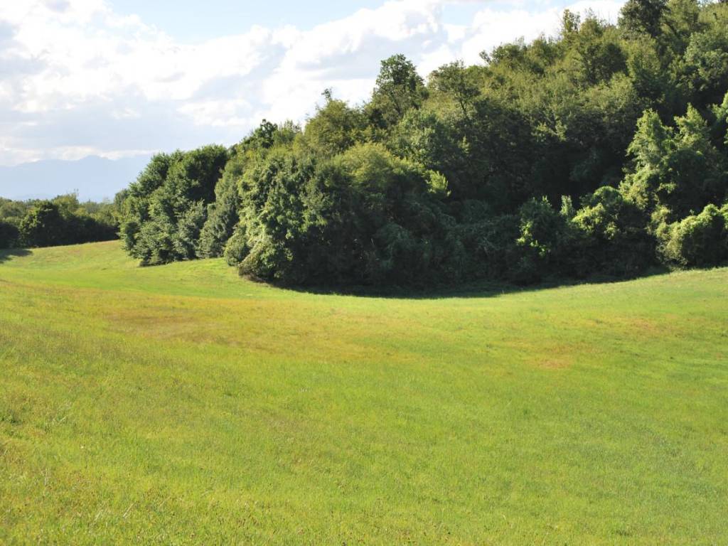 Terreno a Noventa vicentina - Foto 3