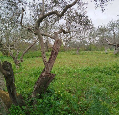 Terreno a Caltanissetta in Niscima Nord - Foto 2