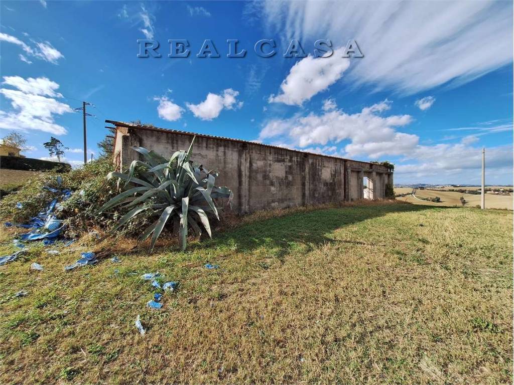 Rustico / casale a Polverigi - Foto 5