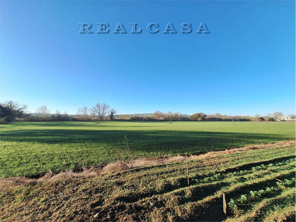 Terreno a Osimo - Foto 3