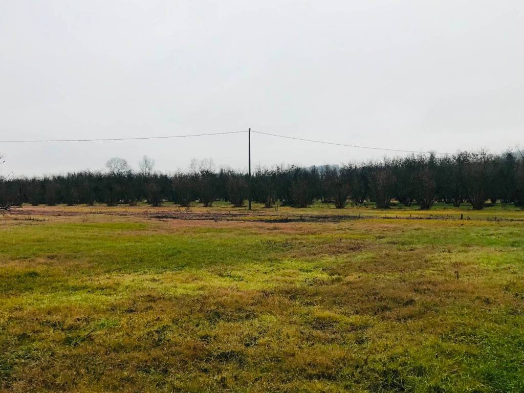 Rustico / casale a Nizza monferrato in Strada Alessandria - Foto 4