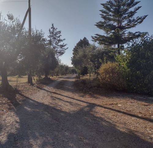 Villa a Cisterna di latina - Foto 4