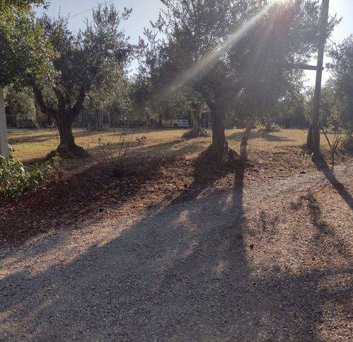 Villa a Cisterna di latina - Foto 5