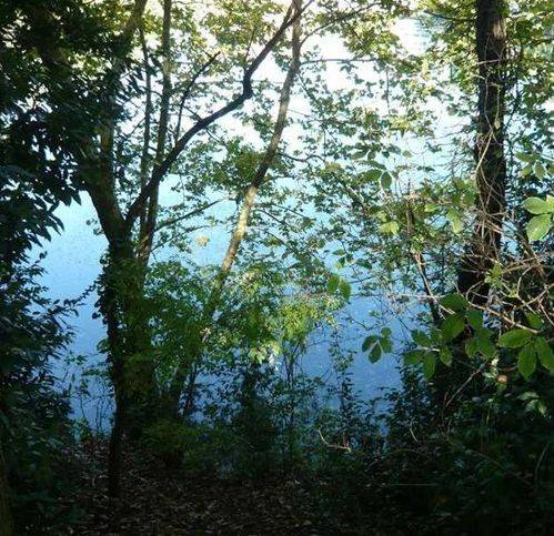Villa a Silea - Foto 3