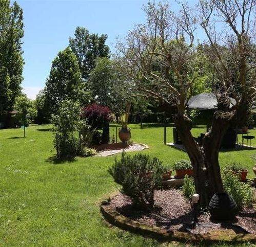 Rustico / casale a Treviso in Via Giovanni Comisso - Foto 3