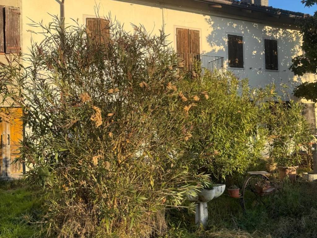 Rustico / casale a Calliano in Strada Pocciano - Foto 4