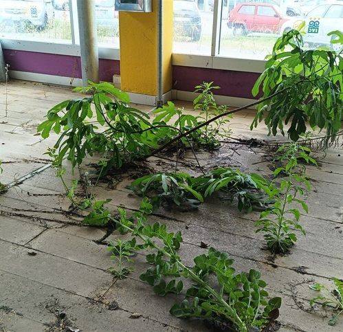 Immobile a Codroipo in Via Michele Gortani - Foto 2