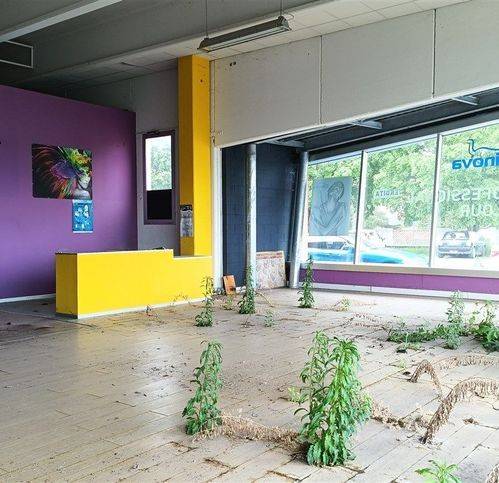 Immobile a Codroipo in Via Michele Gortani - Foto 3