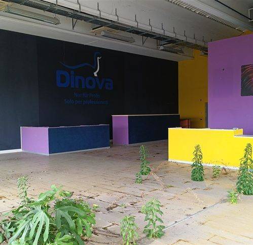 Immobile a Codroipo in Via Michele Gortani - Foto 4