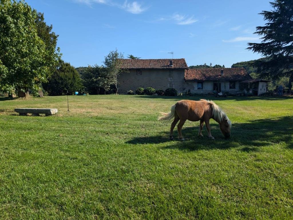 Rustico / casale a Cerrione in Strada Provinciale Biella Zimone - Foto 2