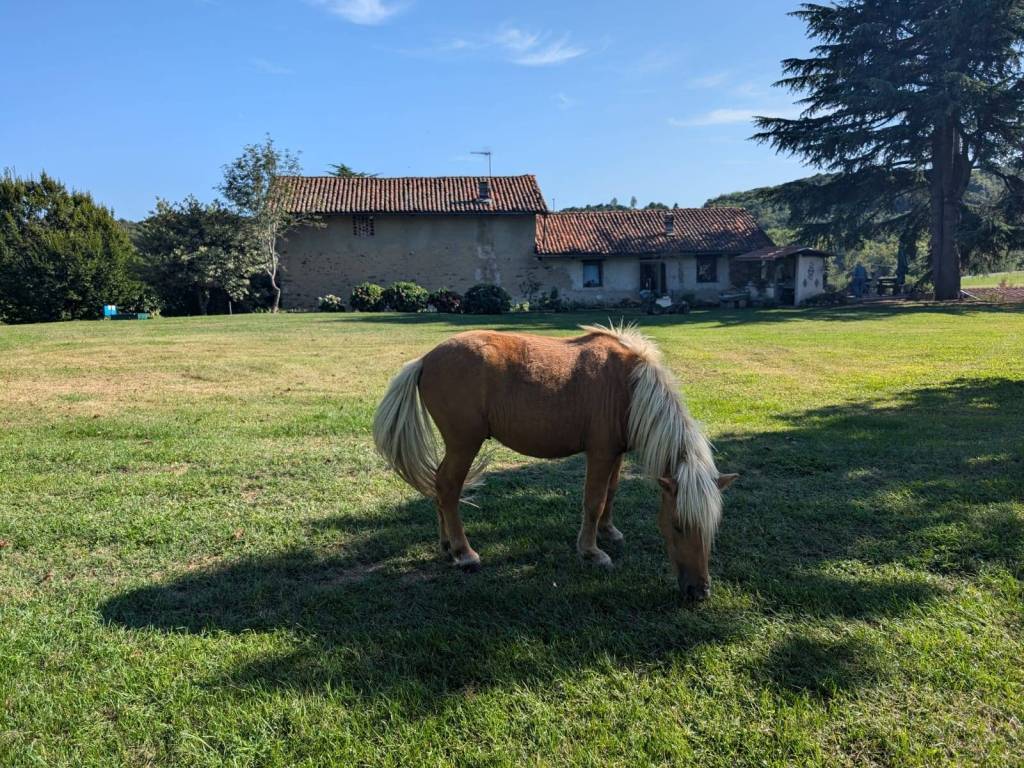 Rustico / casale a Cerrione in Strada Provinciale Biella Zimone - Foto 3