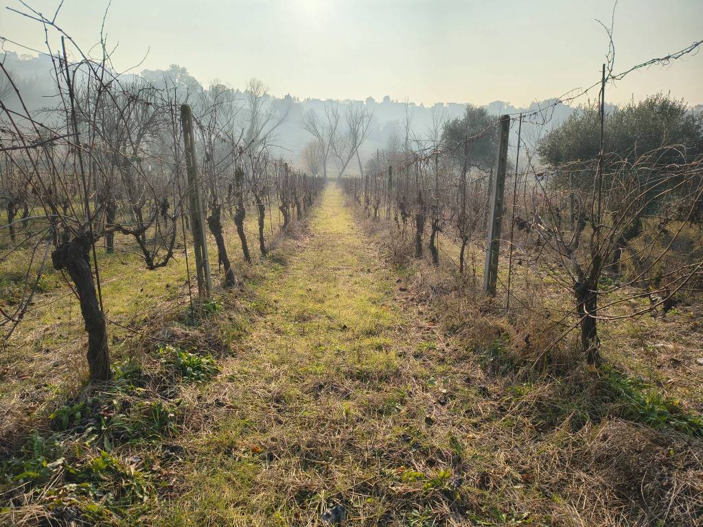 Rustico / casale a Gradara in Via Serra - Foto 5