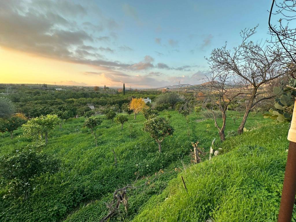 Terreno a Noto in Strada Statale Sud Occidentale Sicula - Foto 2