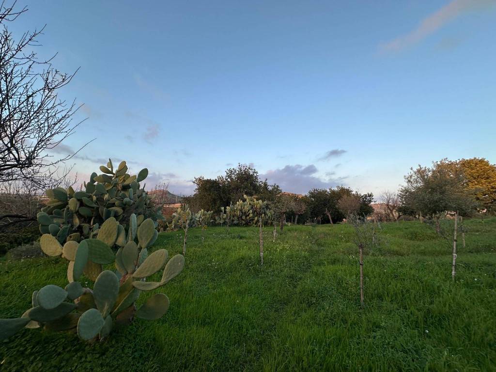 Terreno a Noto in Strada Statale Sud Occidentale Sicula - Foto 4
