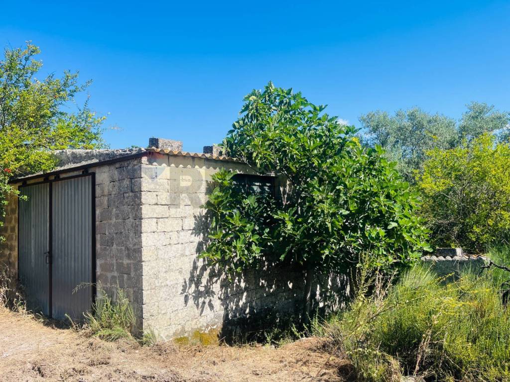 Rustico / casale a Modica in Contrada Montesano Piano Pozzi - Vaccaria - Foto 2