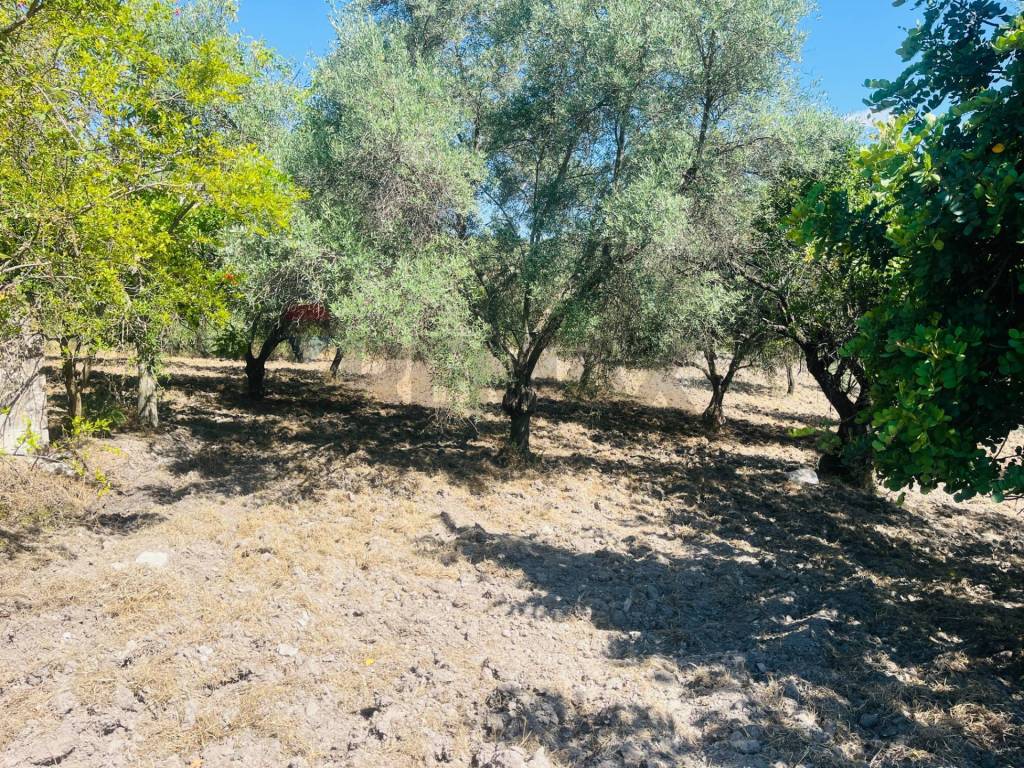 Rustico / casale a Modica in Contrada Montesano Piano Pozzi - Vaccaria - Foto 4