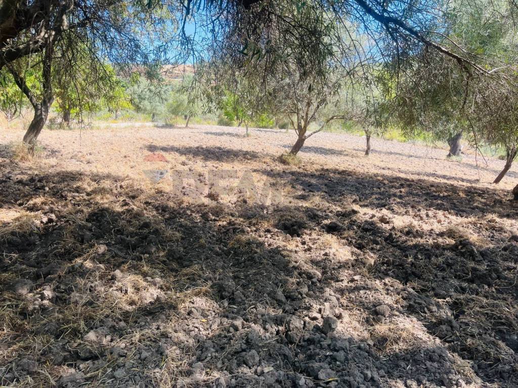 Rustico / casale a Modica in Contrada Montesano Piano Pozzi - Vaccaria - Foto 5