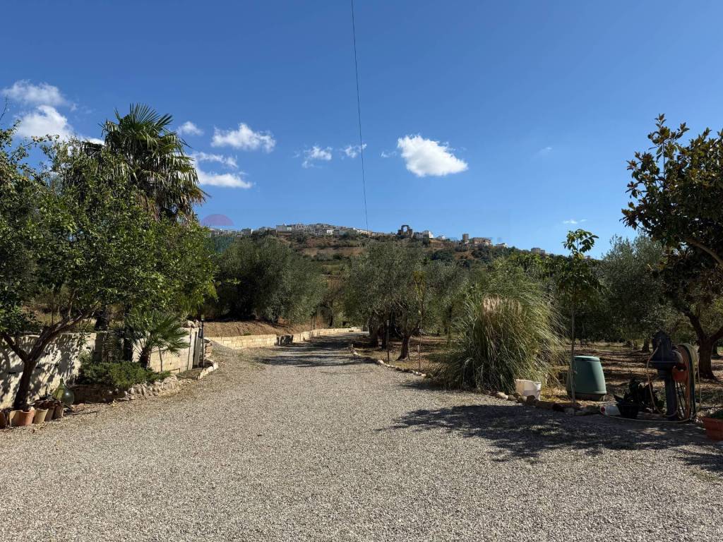Villa a Grottole in CONTRADA PIETRANEPITA - Foto 3