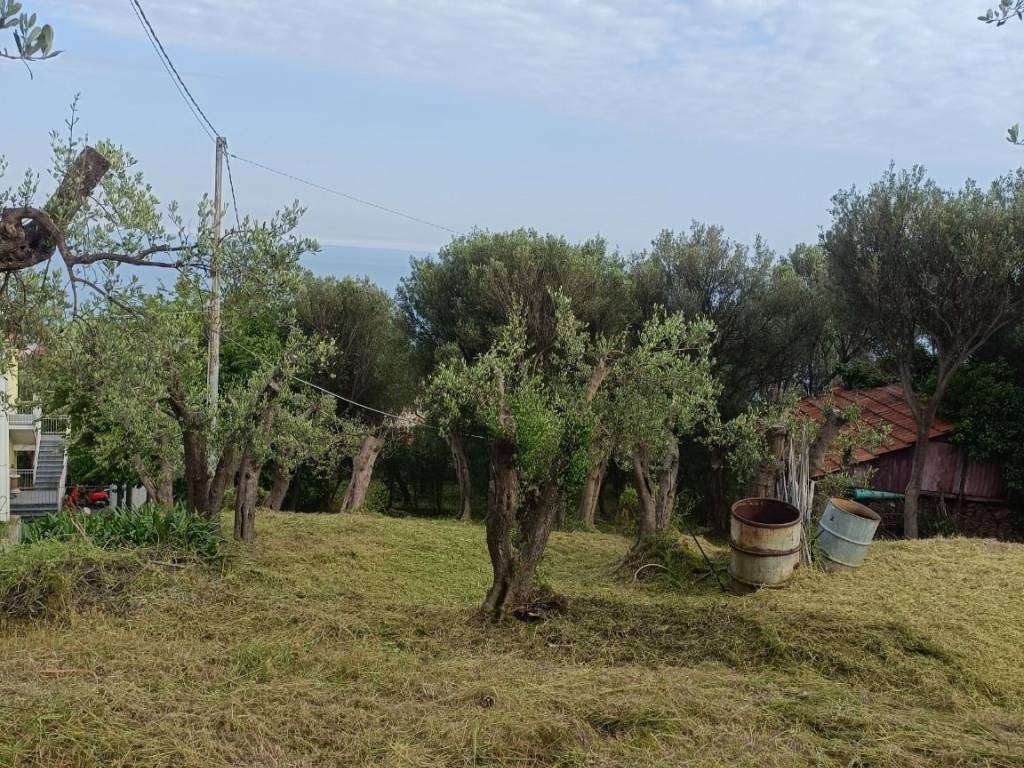 Terreno a Varazze in Via Nuova Cantalupo - Foto 2