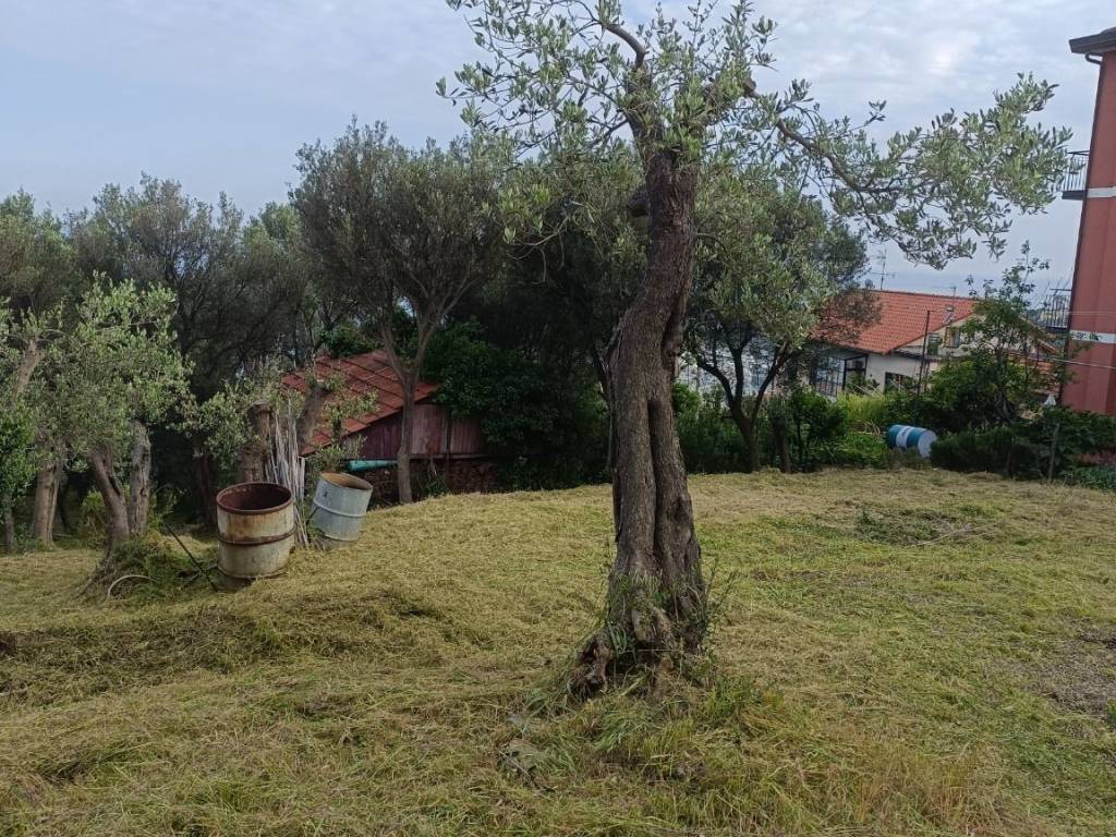 Terreno a Varazze in Via Nuova Cantalupo - Foto 3