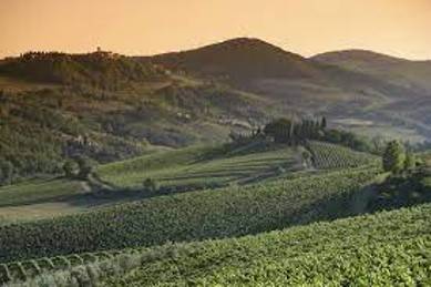 Rustico / casale a Barberino tavarnelle in Strada Poggio al Vento - Foto 2