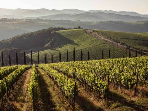 Rustico / casale a Barberino tavarnelle in Strada Poggio al Vento - Foto 3
