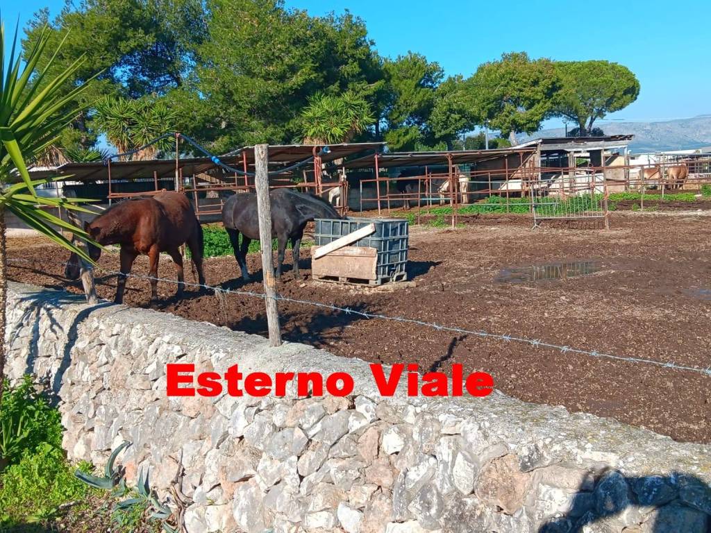 Villa a Manfredonia in SS89 - Foto 3