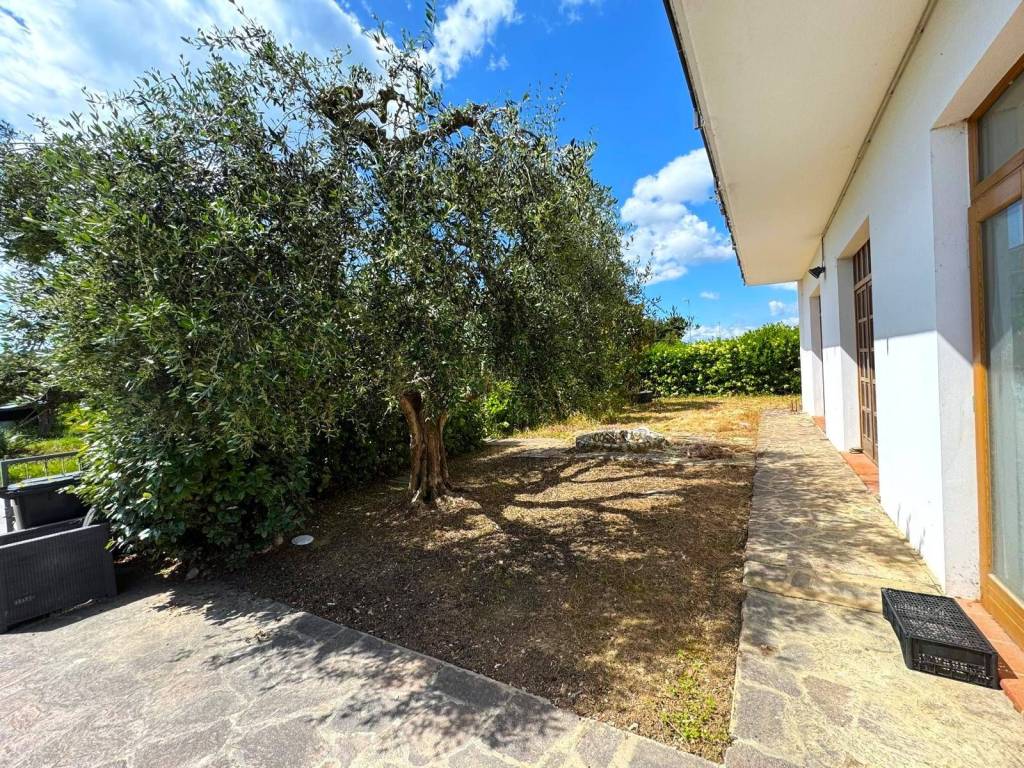 Casa indipendente a Altidona - Foto 5