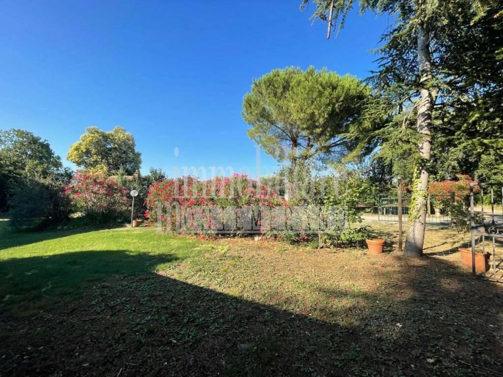 Rustico / casale a Manciano in Strada Provinciale Sgrilla - Foto 4