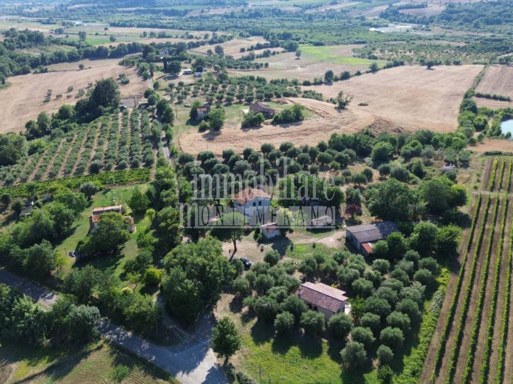 Rustico / casale a Manciano in Strada Provinciale Sgrilla - Foto 5