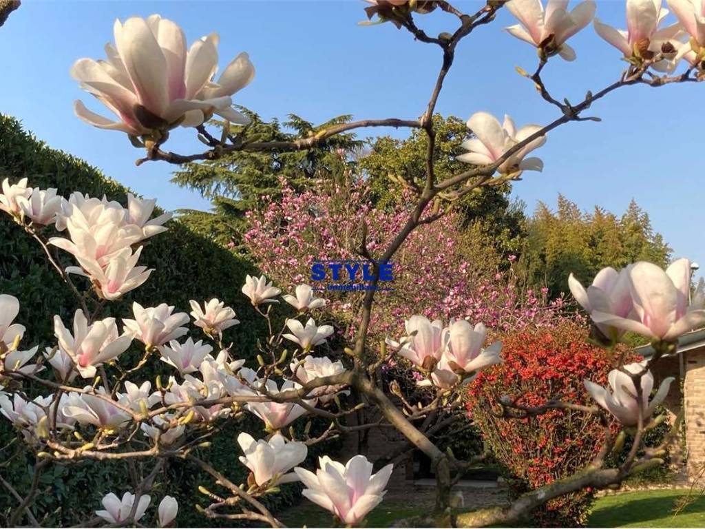 Casa indipendente a Camponogara - Foto 2