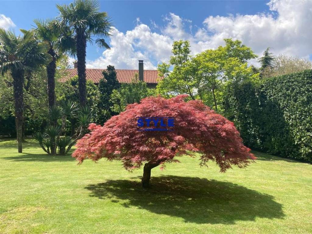 Casa indipendente a Camponogara - Foto 4