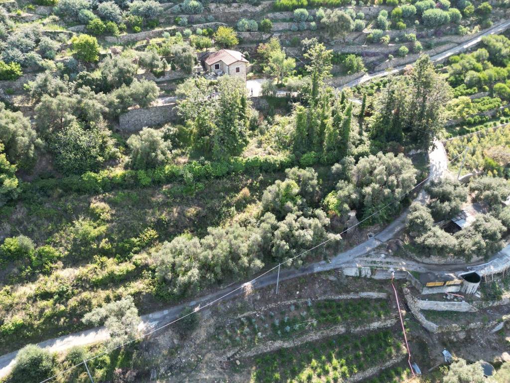 Terreno a Bordighera in Via Silvio Pellico, 10 - Foto 2