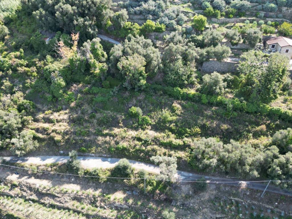 Terreno a Bordighera in Via Silvio Pellico, 10 - Foto 5