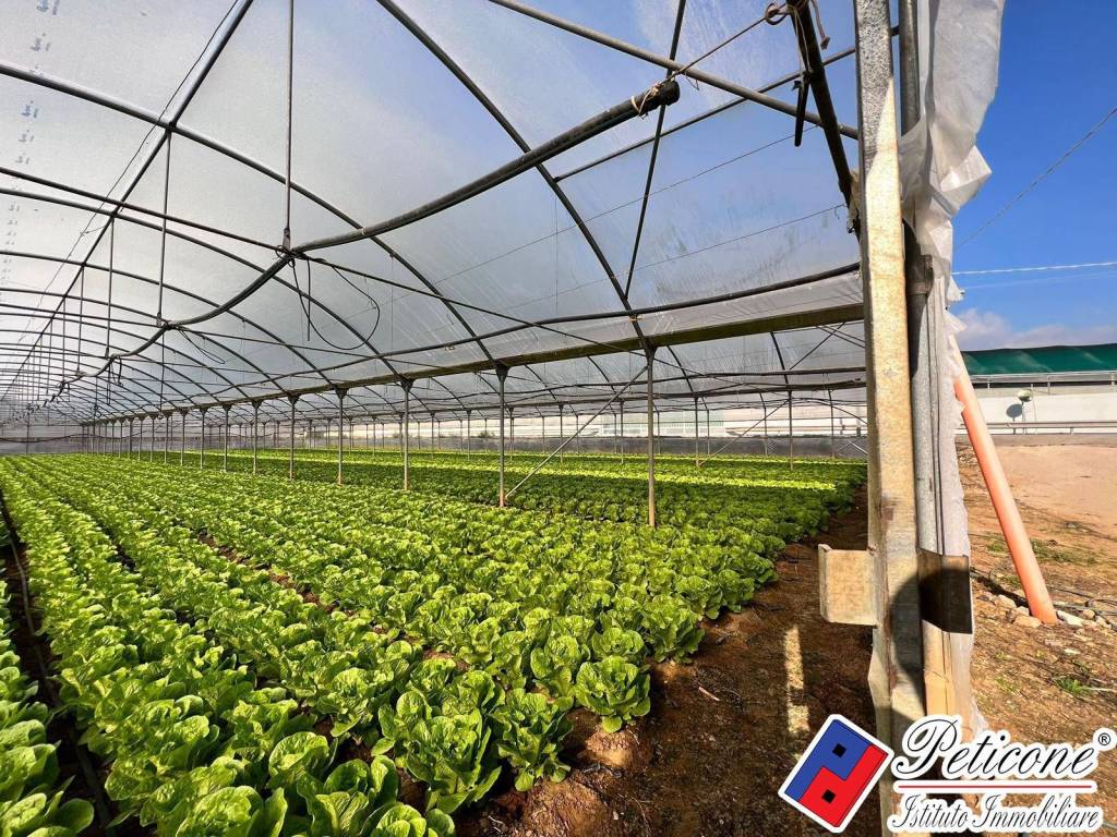 Terreno a Fondi in VIA ANNA MASCHIETTO - Foto 3