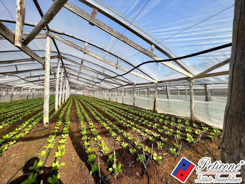 Terreno a Fondi in VIA ANNA MASCHIETTO - Foto 5