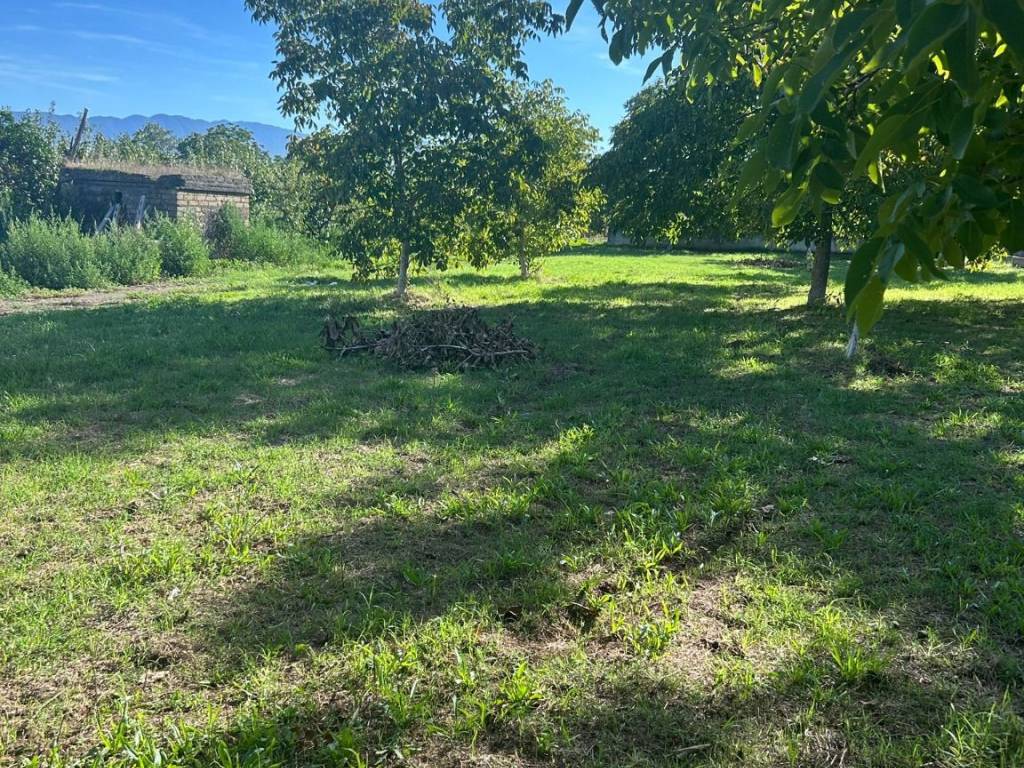 Terreno a Somma vesuviana in Via del Cenacolo, 16 - Foto 3