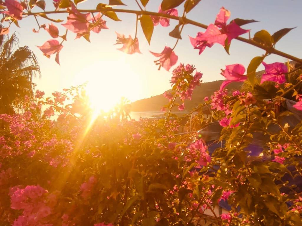 Appartamento a Ospedaletti - Foto 2
