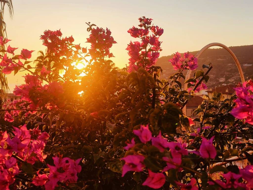 Appartamento a Ospedaletti - Foto 3