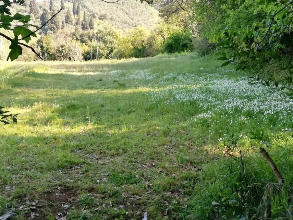 Terreno a Massarosa in Via Delle Fonti No Number - Foto 4