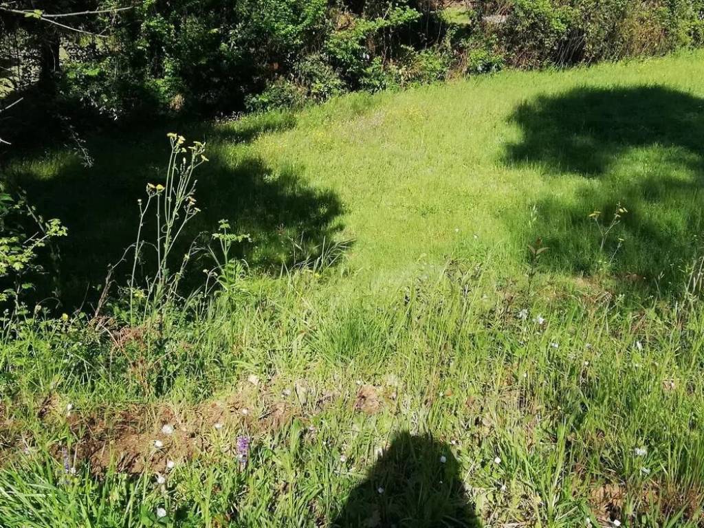 Terreno a Massarosa in Via Delle Fonti No Number - Foto 5