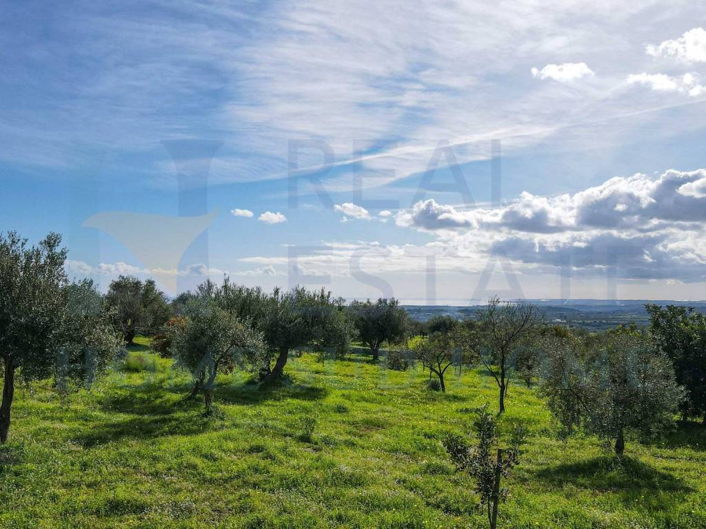 Terreno a Noto in Strada Statale di Noto - Foto 4