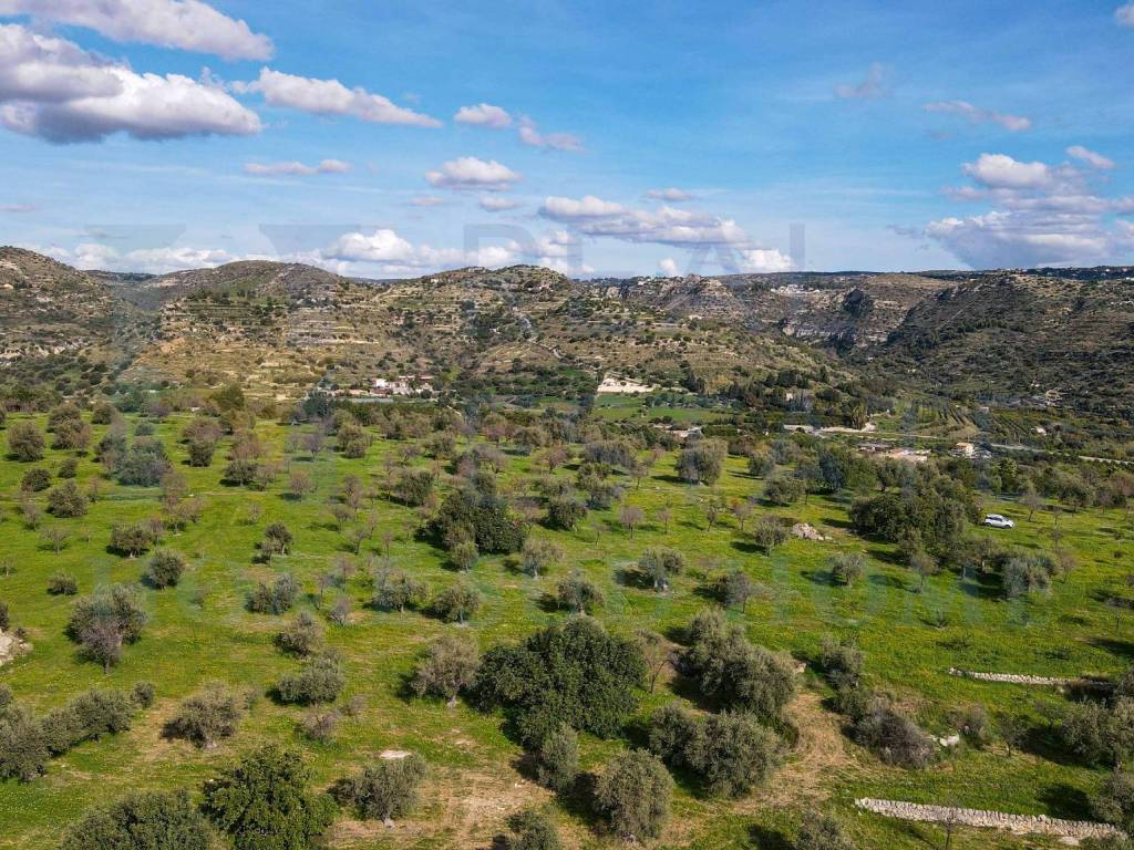 Terreno a Noto in Strada Statale di Noto - Foto 5