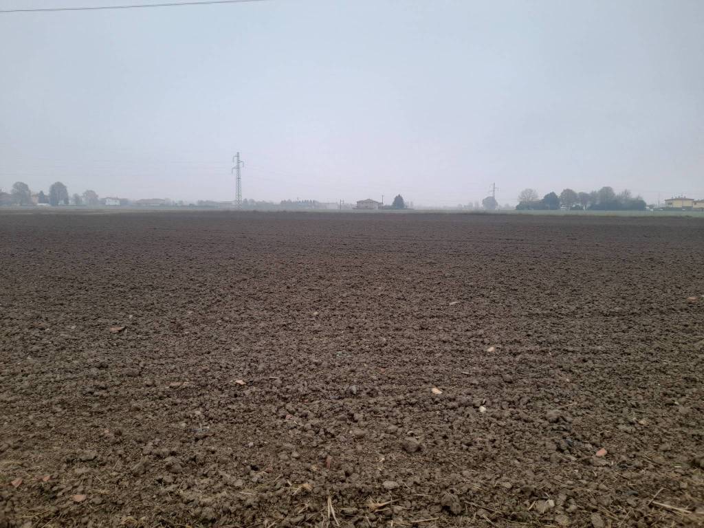 Terreno a Crevalcore - Foto 2